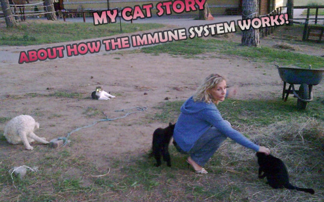 MY CAT STORY ABOUT HOW THE IMMUNE SYSTEM WORKS!